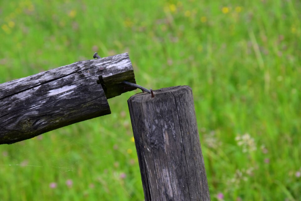 Wood summer nail