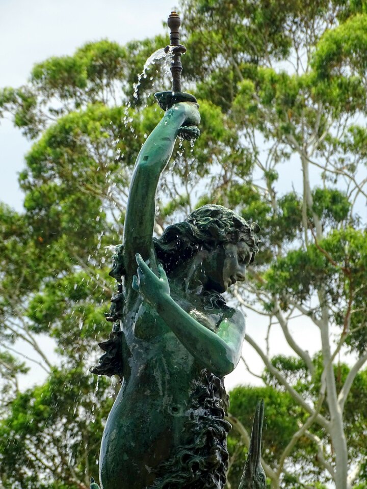 Tree tropical statue