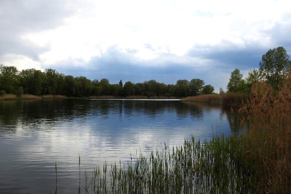 Reflection waters nature