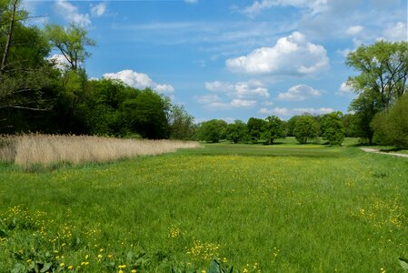 Nature landscape meadow photo