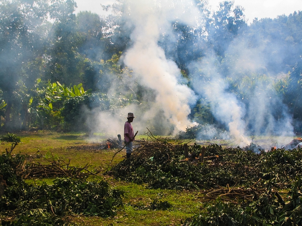 Smoke fire leaves burning
