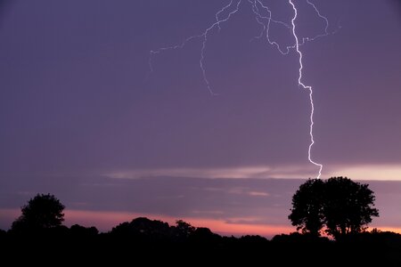 Storm outdoor tree