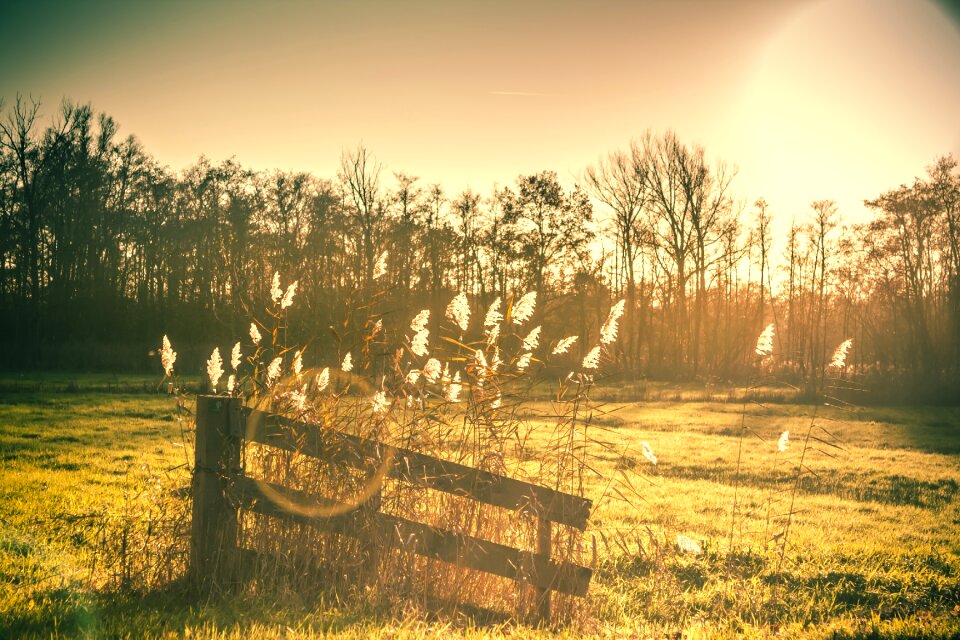 Sun landscape season