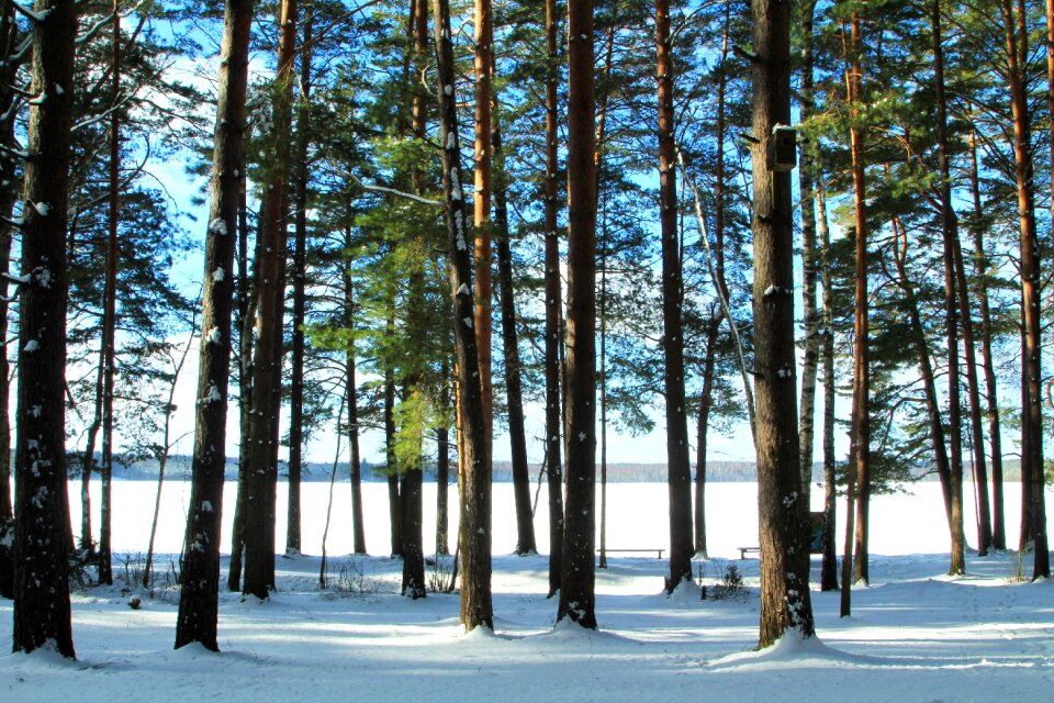 Fair weather landscape winter