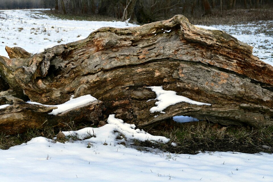 Nature cracks snow