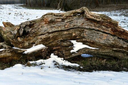 Nature cracks snow