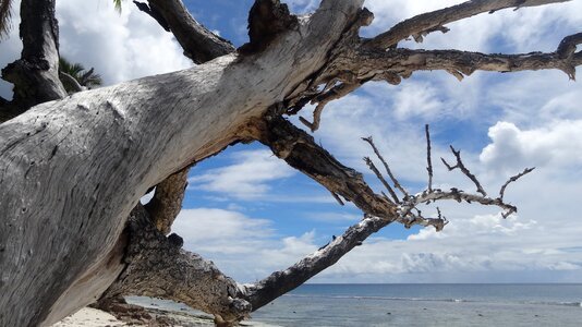 Nature sea seychelles photo