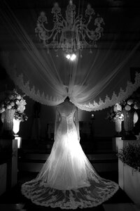 Marriage bride Free photos