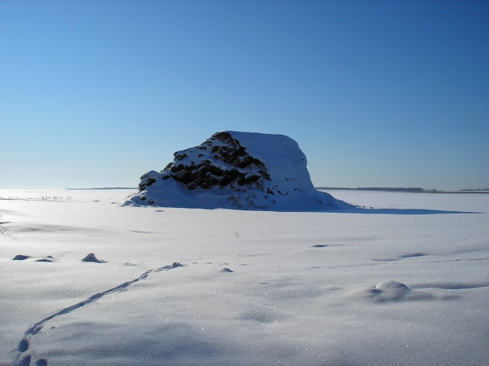 Frozen coldly profile