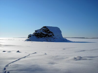 Frozen coldly profile