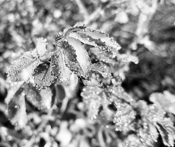 Outdoors nature cold