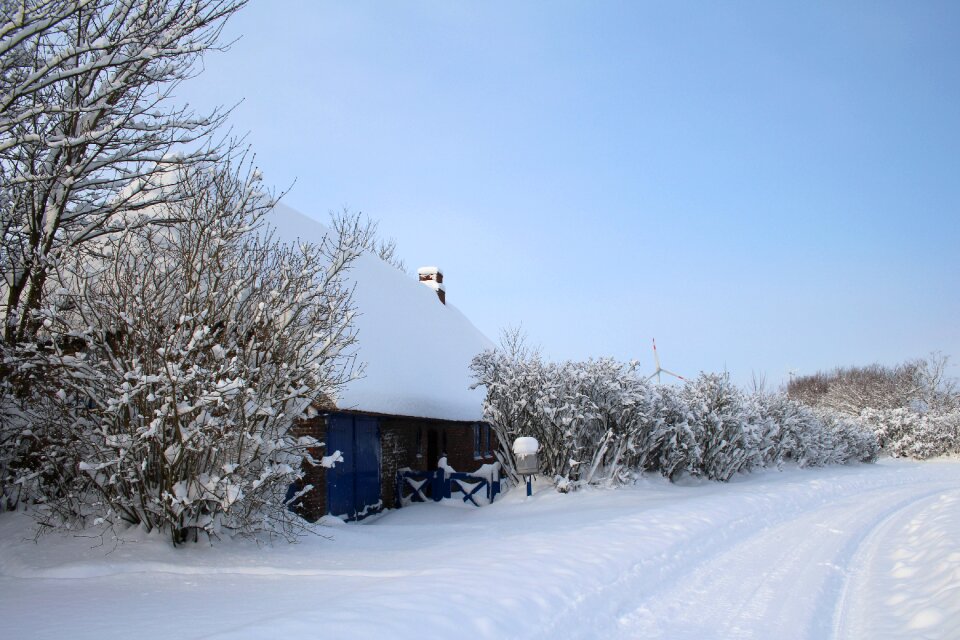 Frost cold frozen