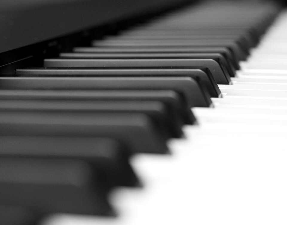 Ebony ivory synthesizer