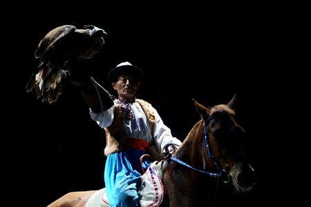 Horse training hasa