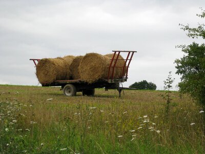Nature farm hay
