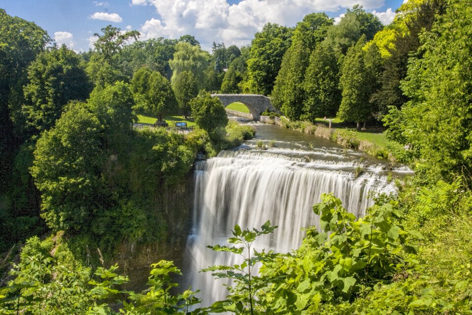 Summer wood waterfall
