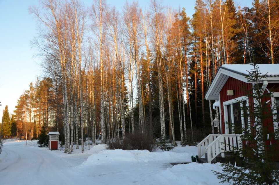 Cold season frozen