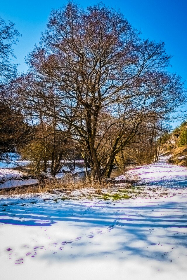 Landscape winter snow