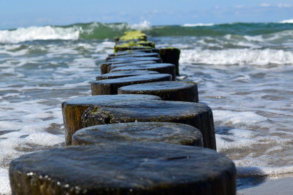 Baltic sea ahrenshoop Free photos