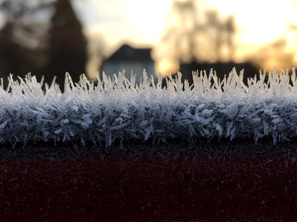 Season nature frozen