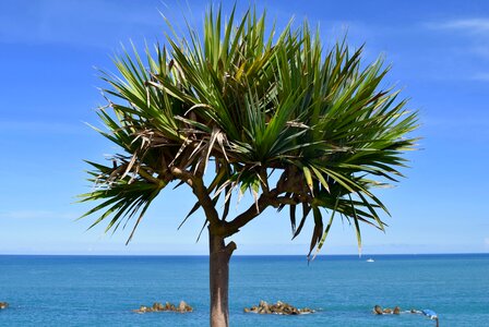 Tropical nature seashore
