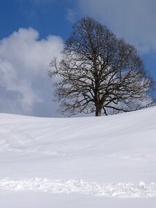 Snow cold frost
