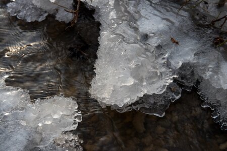 Bach winter ice