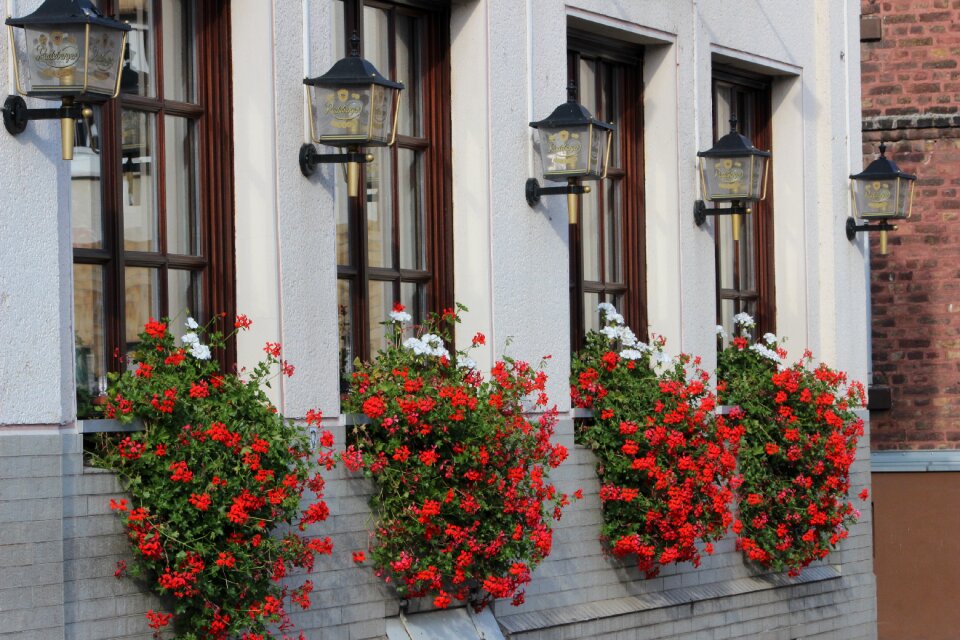 Family facade wall