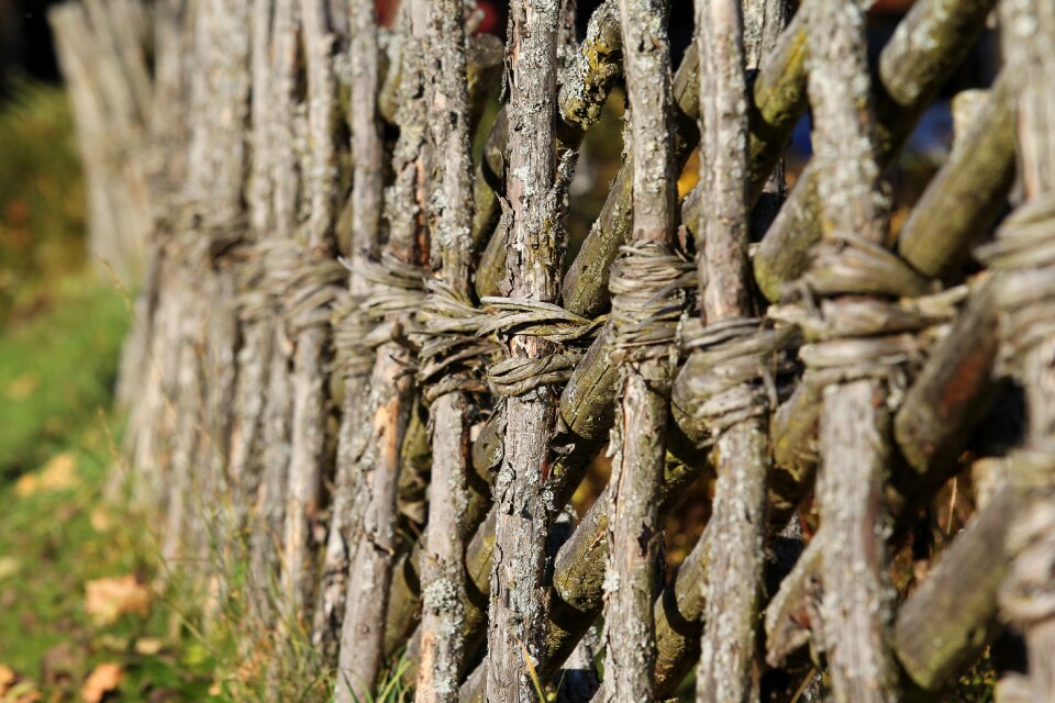 Wood old background