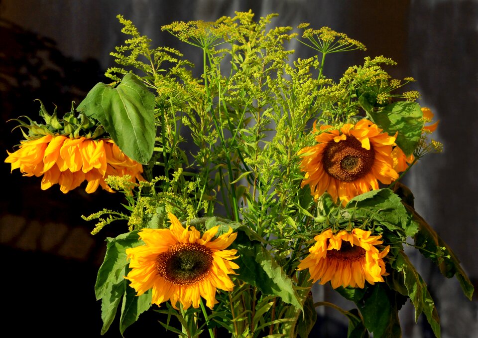Bouquet nature flora