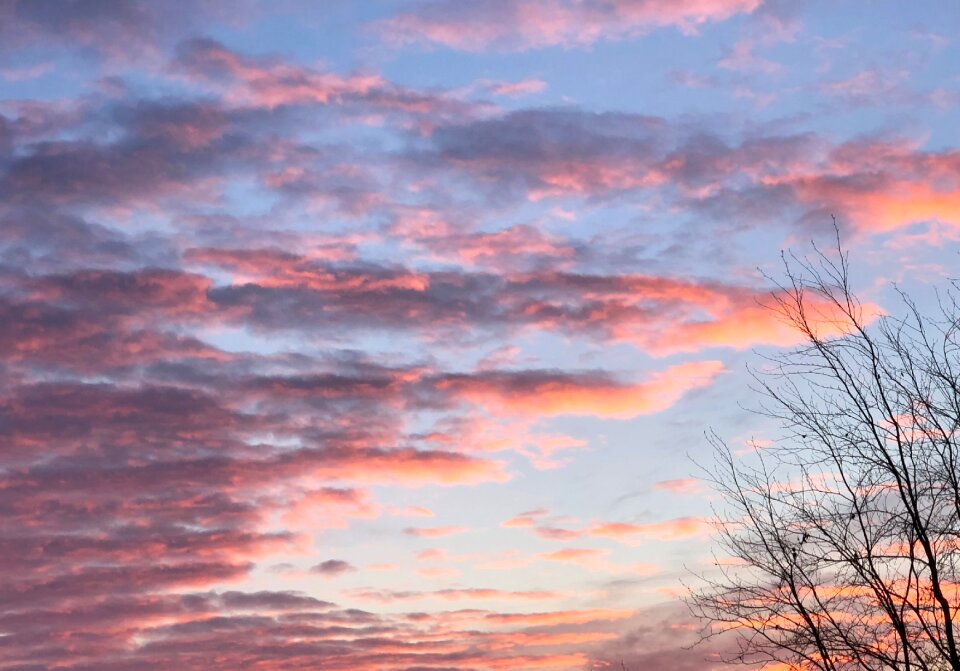 Panorama sky sunrise