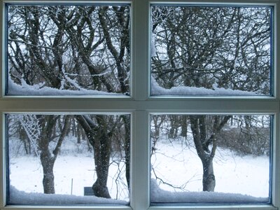 Frost winter snow