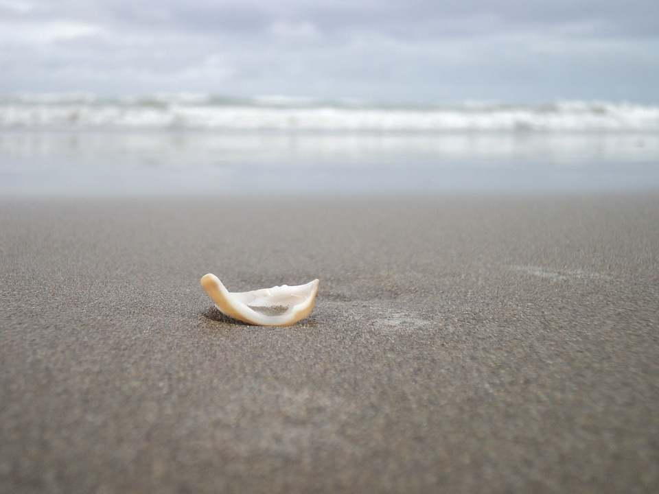 Ocean sea beach