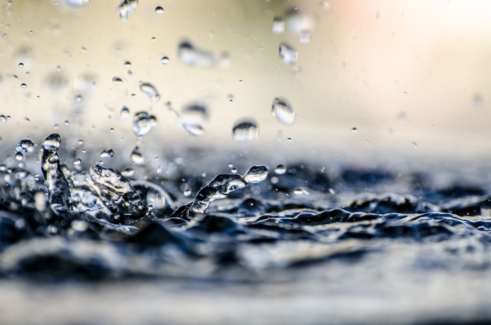 Wet nature element