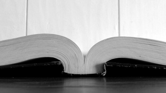 Bible study studying work