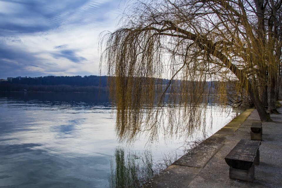 Rest lonely lake constance