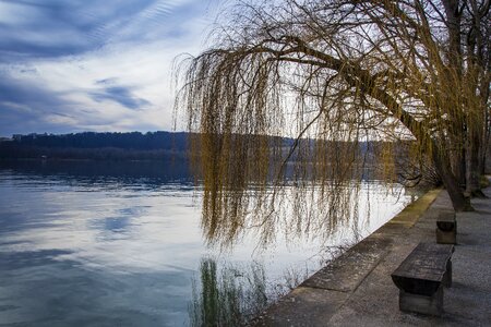 Rest lonely lake constance photo