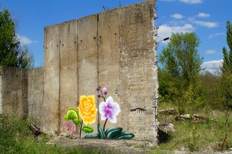 Garden flower wall