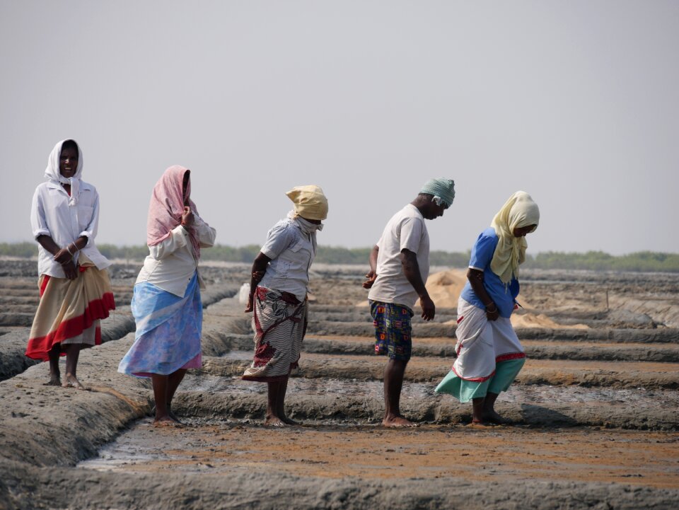 Women in the salt marsh tamil nadu Free photos