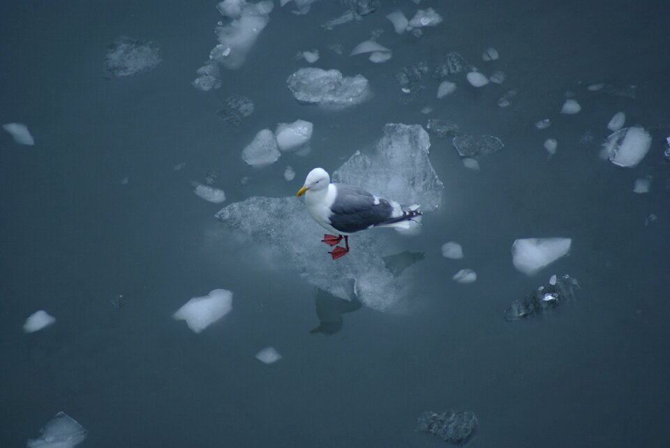 Travel cold ice