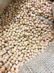 Game seed food