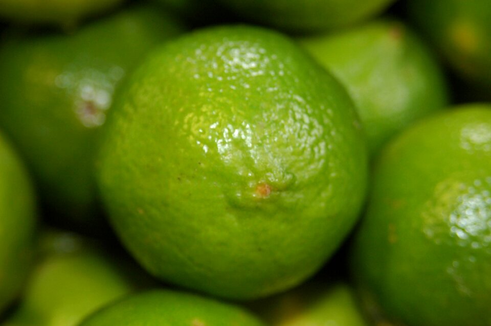 Lime juicy grow
