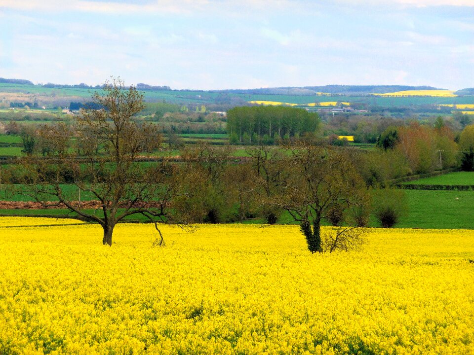 Landscape farm cotswolds