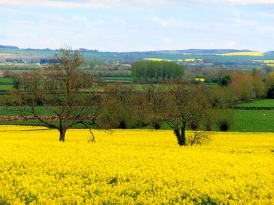 Landscape farm cotswolds