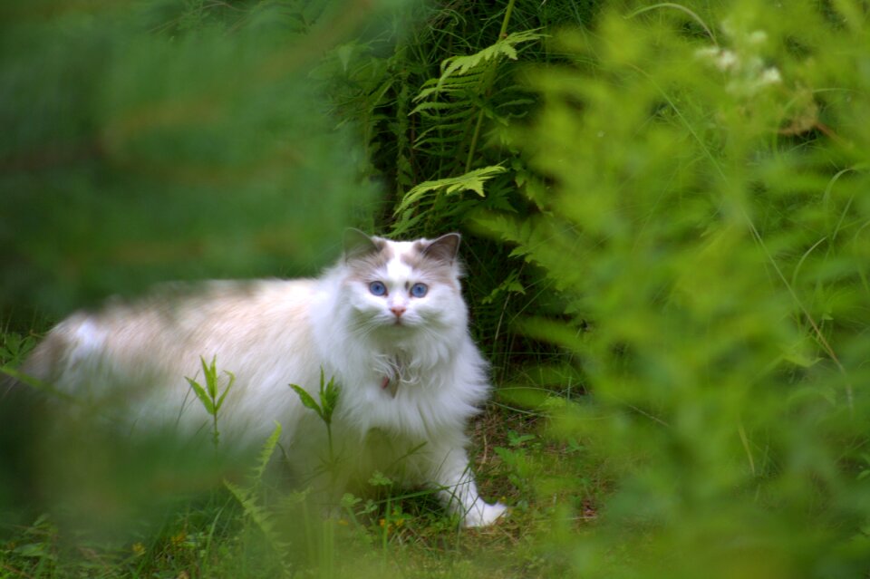 Cute summer outdoors