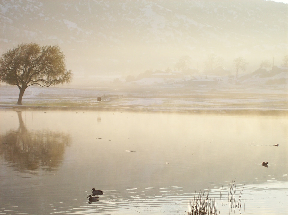 Scenic landscape reflection