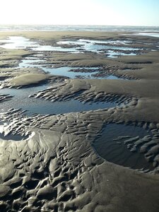 Nature seashore sea pattern