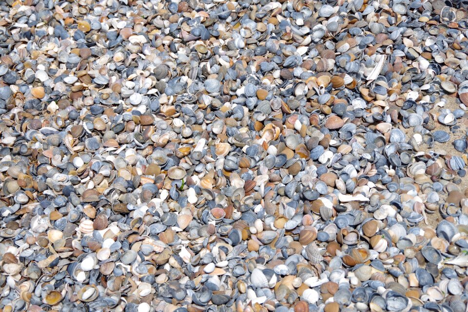 Textiles stone rau