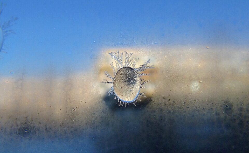 Frost morning Free photos