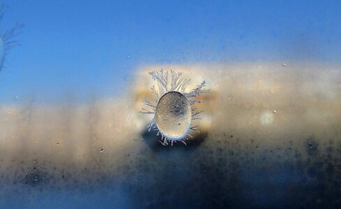 Frost morning Free photos